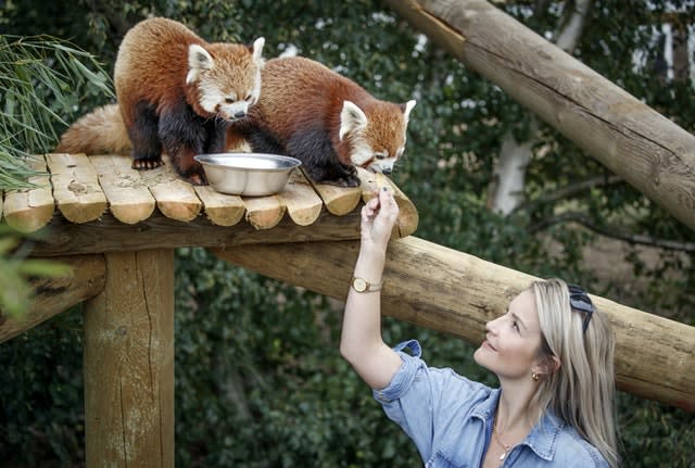 Yorkshire Wildlife Park expanded animal reserves