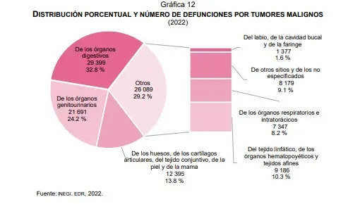 causas muerte en méxico 2022 inegi