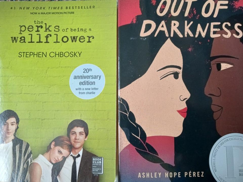 A few Wallenpaupack school parents expressed concern to their school district recently about content they felt inappropriate for young readers about five of the books available through the high school library. Two of them are pictured here.