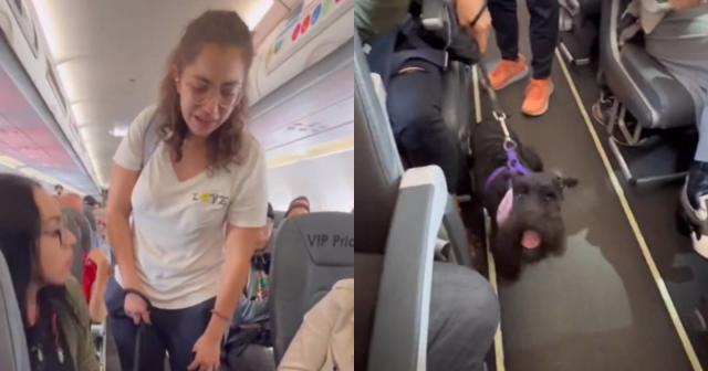 La chica viral del avión dice que abandonó el vuelo por su propia voluntad