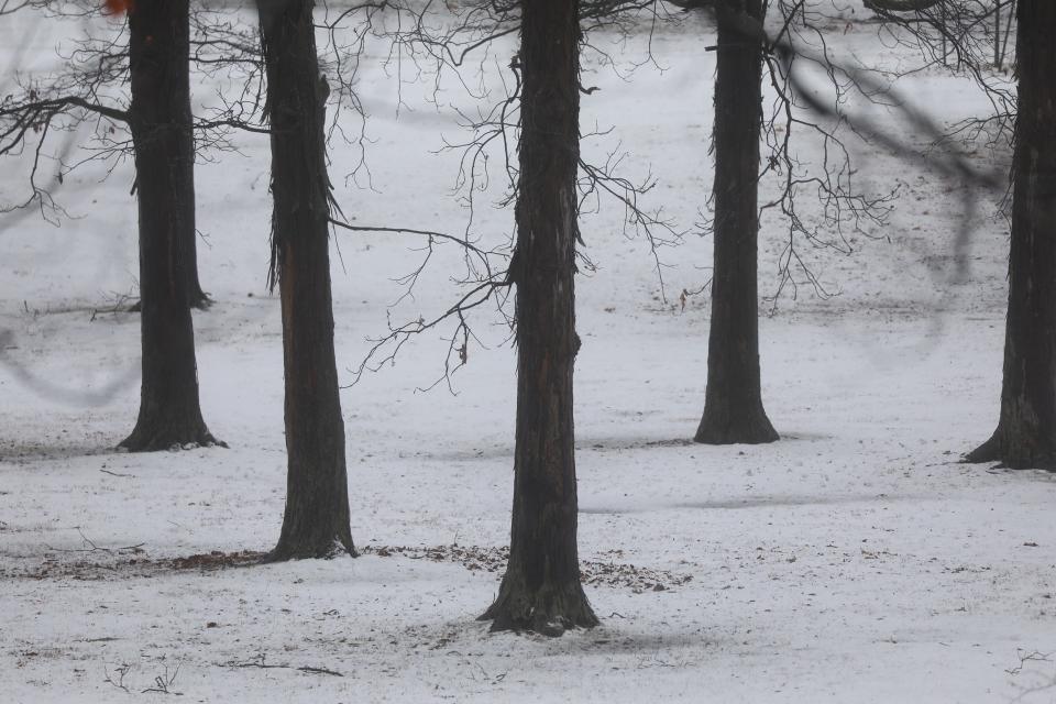 A dusting of snow and slush just barely covers the grass in Seneca Park in Rochester on Dec. 16, 2022.