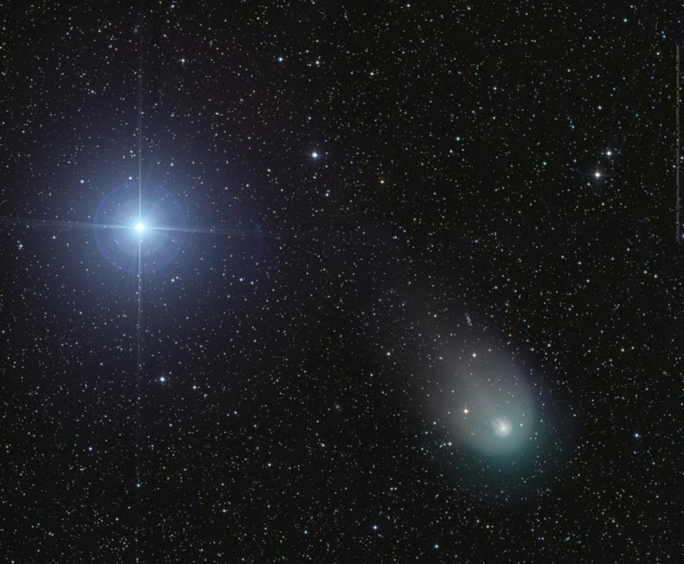 On 4 December 2023 periodic Comet 12P/Pons-Brooks shared this telescopic field of view with Vega, alpha star of the northern constellation Lyra (Nasa/Dan Bartlett)