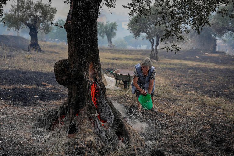 Fuego; incendios; Europa; España; Francia; Portugal; Mundo; ola de calor