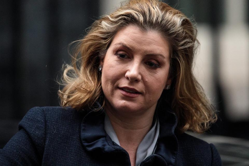 Penny Mordaunt has proposed a 'managed no-deal' an idea criticised by Europe (Getty Images)