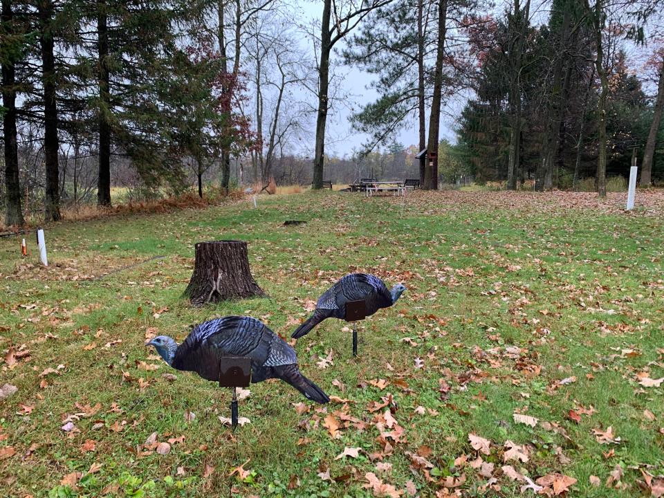 Turkey decoys