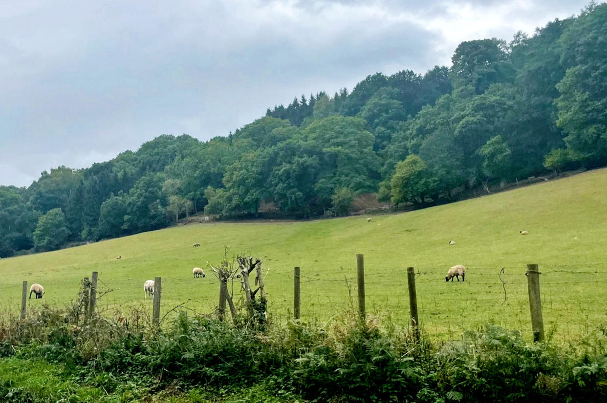 Police have confirmed a boy who died in a crash was travelling in an off-road vehicle when it overturned.  See SWNS story SWLSdeath.  The crash took place at Coney Green Farm which is also home to Coney Green Farm 4X4 Offroad Site.  Police said there were no other vehicles involved in Saturday's crash and the boy died at the scene.  A girl who was in the vehicle was also hurt and taken to Worcestershire Royal Hospital.  Neighbours called it a 