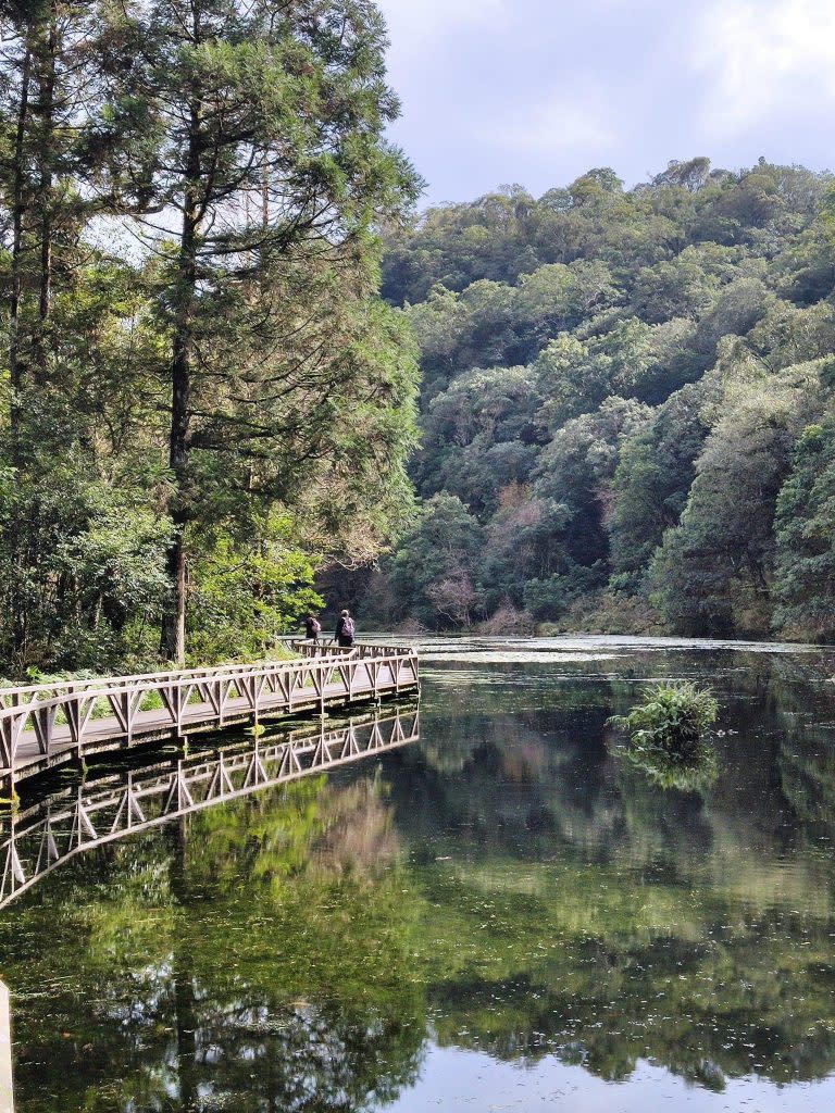 福山植物園保有台灣典型天然闊葉樹林。 （中華旅行社提供）