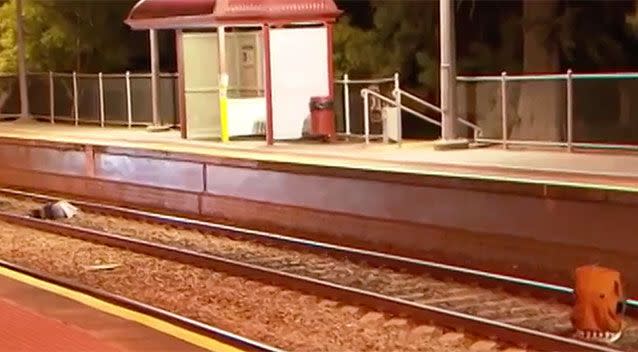 The intoxicated teenagers were laying in the middle of the train tracks. Photo: 7 News