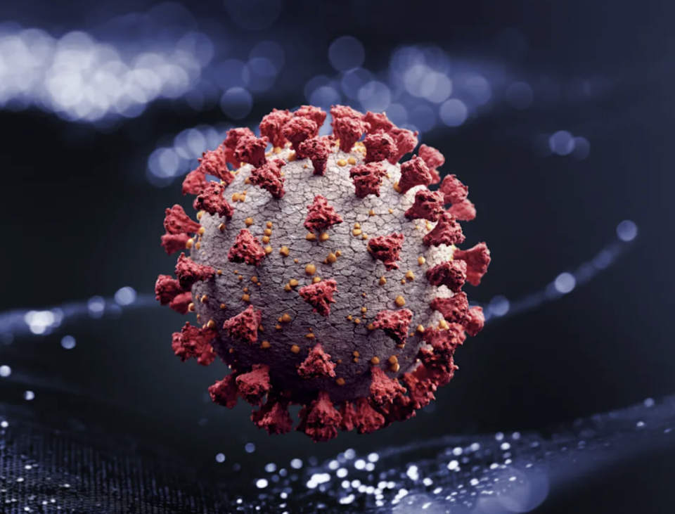 The coronavirus mutates frequently, leading to the emergence of new variants. (Stock, Getty Images)