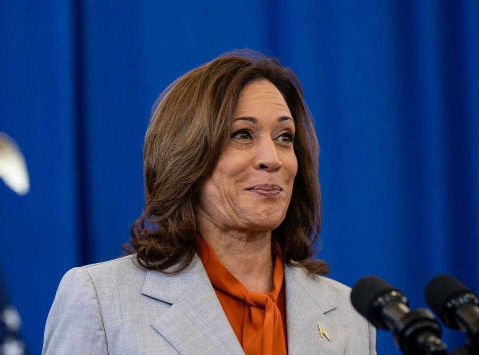 美國民主黨總統候選人賀錦麗(Kamala Harris)。(資料照片／臉書)