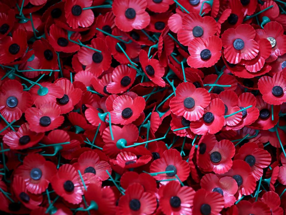 Remembrance Day: Why do we wear red poppies in tribute to fallen soldiers?