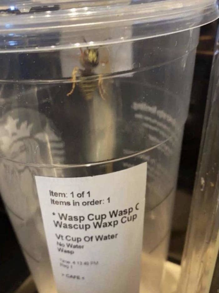 A wasp inside a clear cup beside an order slip that mistakenly reads, "Wasp Cup Wasp Cup Wascup Waxp Cup," instead of a water cup