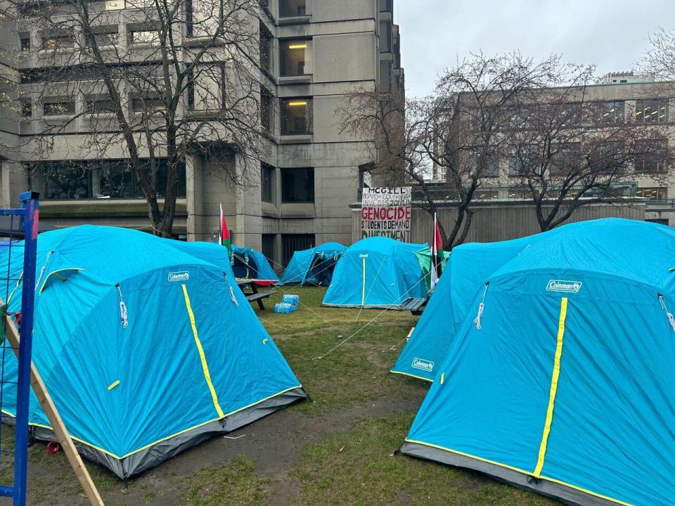 Dozens of tents were erected on McGill's front lawn in solidarity with the Palestinian cause Saturday. The encampment continued Sunday.