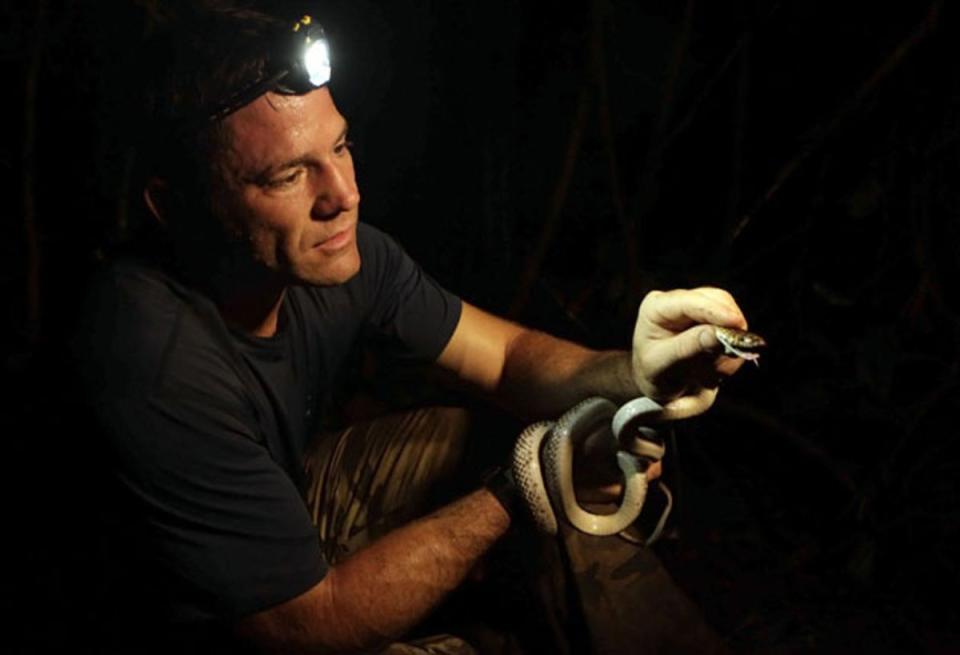 Television naturalist Steve Backshall called the Thames ‘toxic’ last week (BBC)