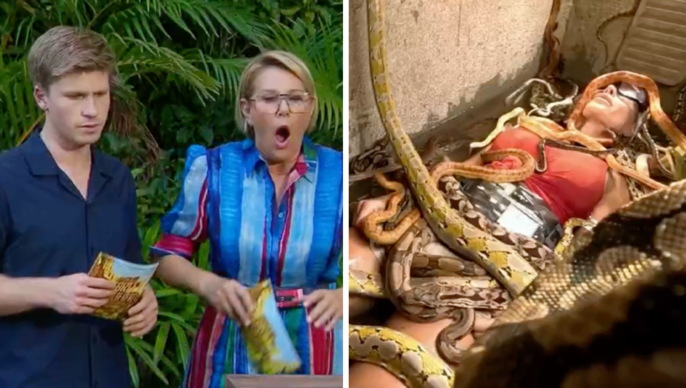 I'm A Celebrity hosts Robert Irwin and Julia Morris / Skye Wheatley covered by snakes.