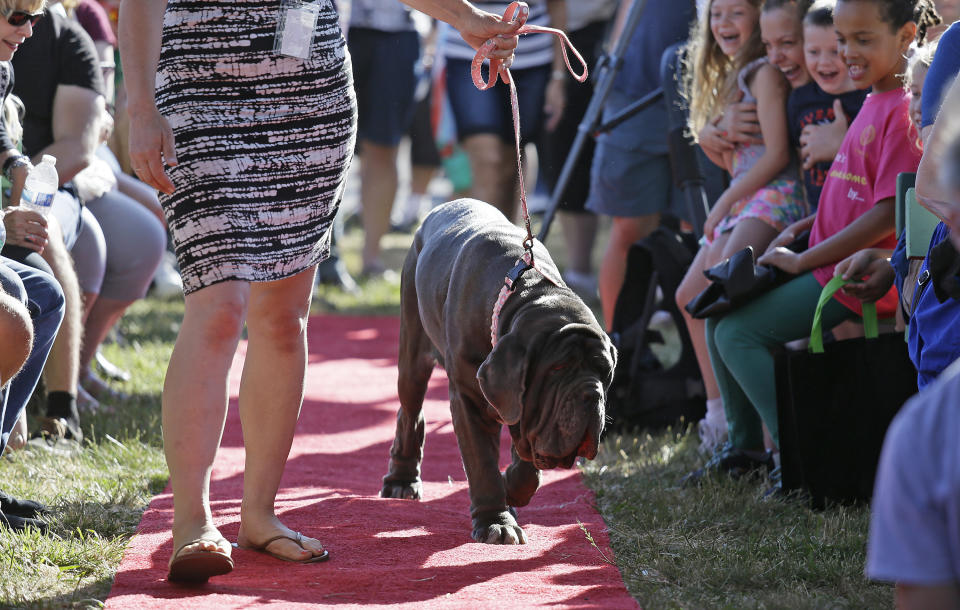 Photo credit: Eric Risberg / AP