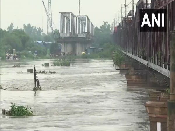 visual from the Yamuna river (File pic/ANI)