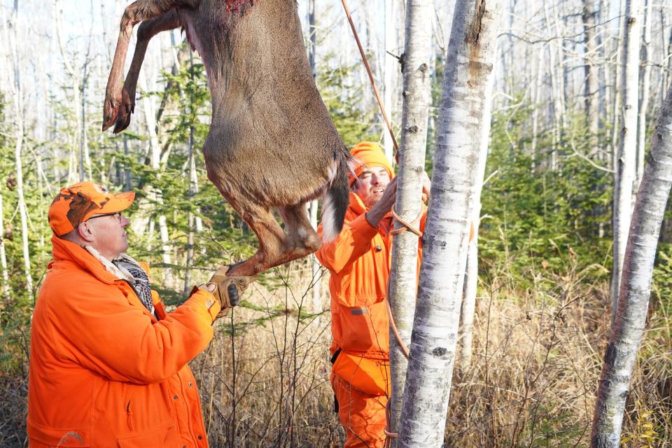 Thor Stolen of Milwaukee (right) helps secure a spike buck shot Nov. 18 by Jim Risgaard of La Pointe during a deer hunt on Madeline Island.
