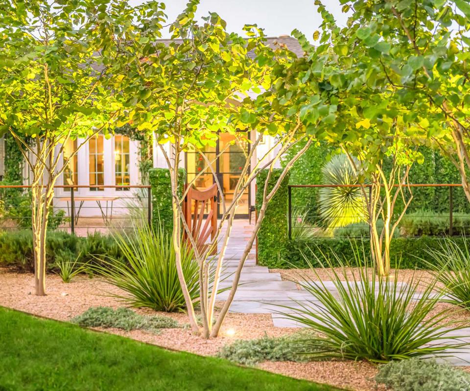 trees in front yard with outdoor lighting