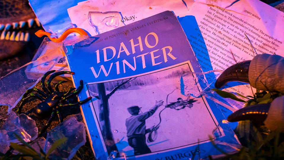 Idaho Winter