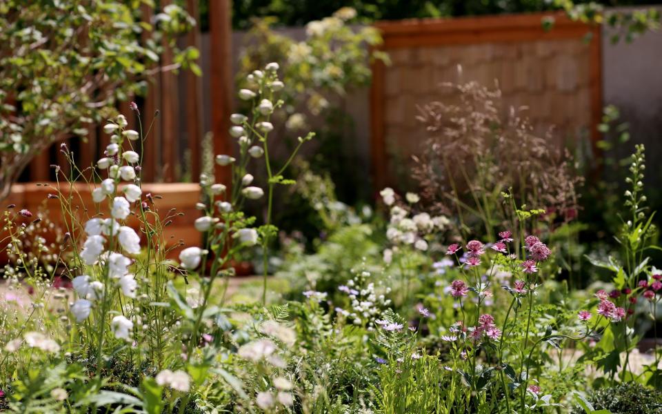 Peaceful: the Communication Garden in support of Mental Health UK, designed by Amelia Bouquet - Clara Molden