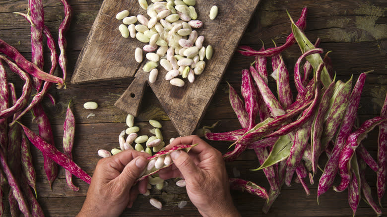 man removing beans from pod