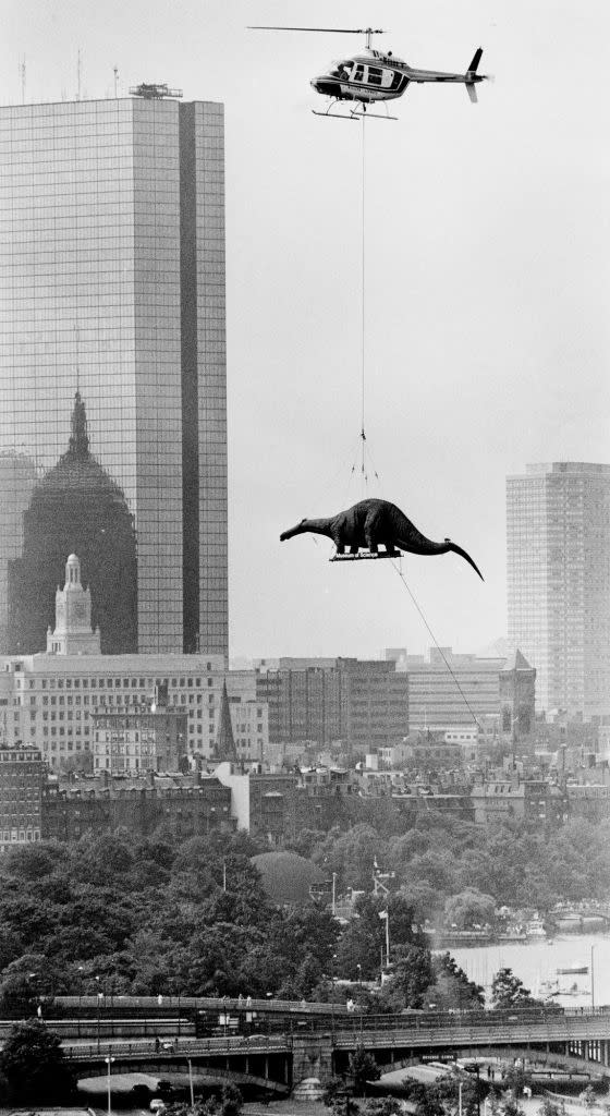 Never thought you'd see a dinosaur being airlifted, did you? I did, personally, but I'm sure you didn't.