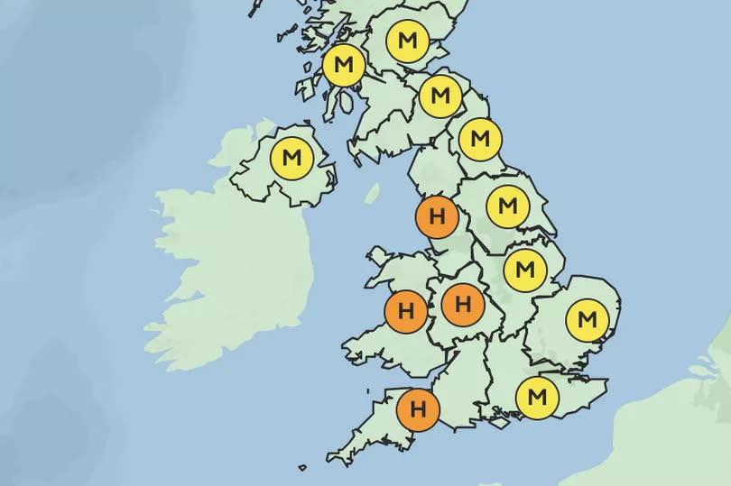 Scotland's first "moderate" pollen count is forecast across the next five days -Credit:Met Office