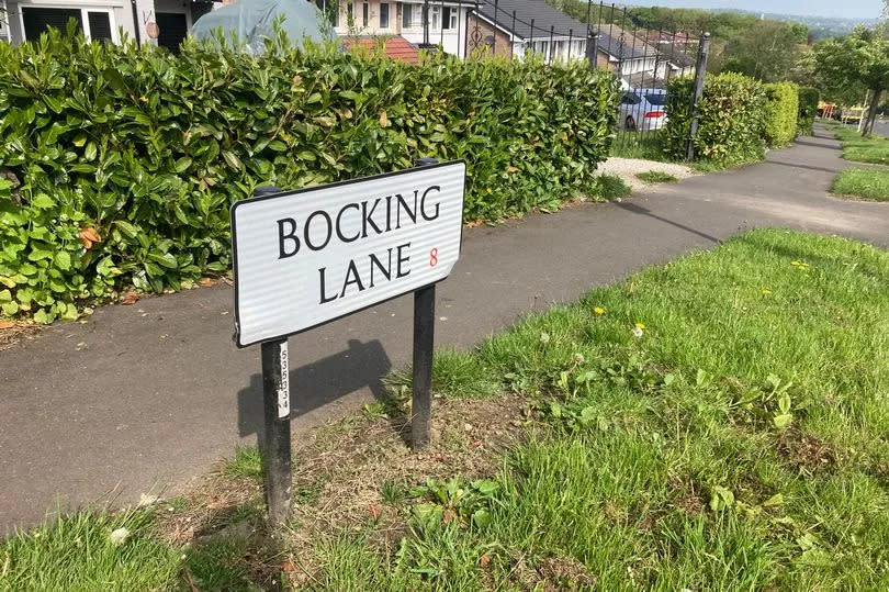 Bocking Lane, Beauchief, Sheffield -Credit:Yasmin Wakefield