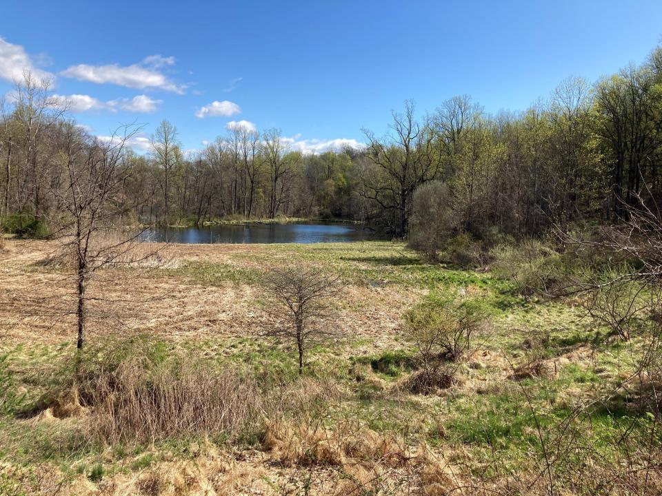 Two large ponds are located on the western side of the Tioronda Estate in Beacon.