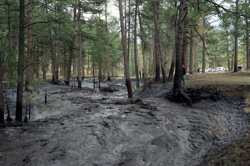 Storms cause flash flooding as South Fork Fire burns near Ruidoso