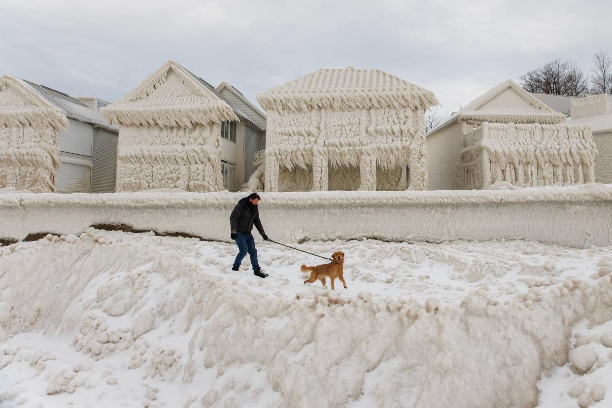 A man walks his dog onto the shore of the lake, with a row of Victorian houses behind him totally frosted over with snow in beautiful regular fractal patterns. All windows are covered.
