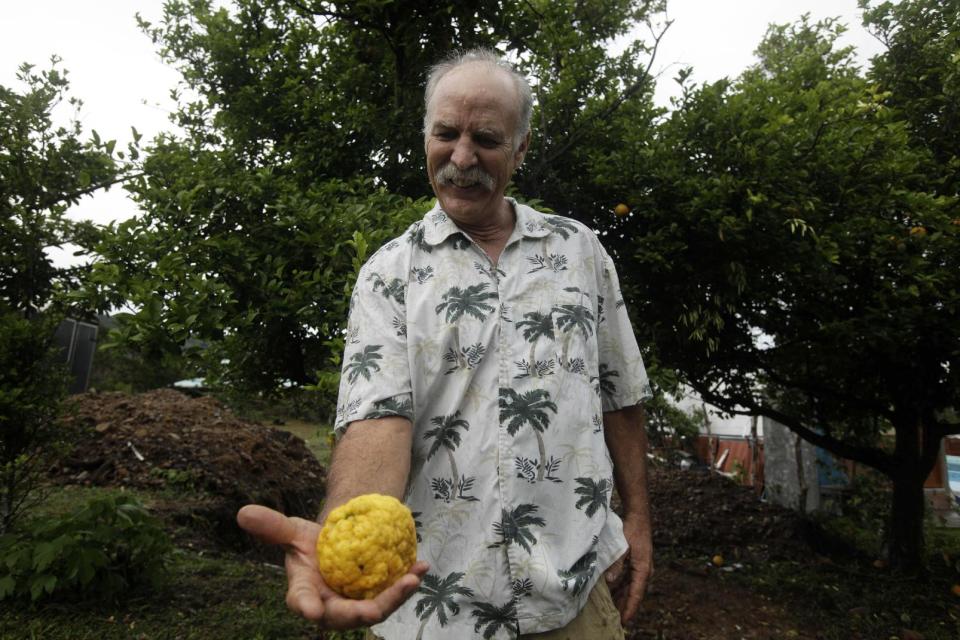 This May 27, 2013 photo shows Eric Carlson, 57, originally from Bonita Spring, Fla, holding a lemon in his backyard in Boquete, west of Panama City, Panama. Panama has become a hot spot for American retirees. They come for the natural beauty, the weather and, perhaps more important, the low cost of living. (AP Photo/Arnulfo Franco)