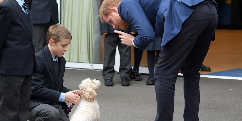 See Every Adorable Photo from Prince Harry's Visit with School Children