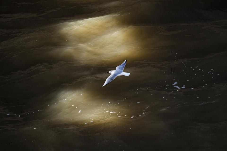 Olympic organizers began working with Paris officials three years ago to clean the Seine, a venue for Paris 2024 Olympic swimming events. (Nathan Laine / Bloomberg via Getty Images)