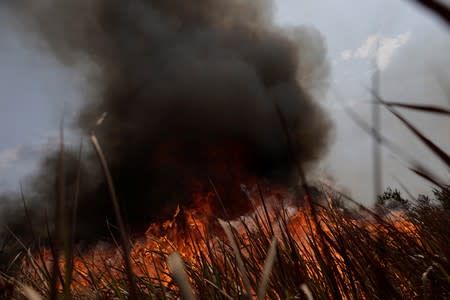 A tract of the Amazon jungle burns as it is cleared by loggers and farmers in Porto Velho