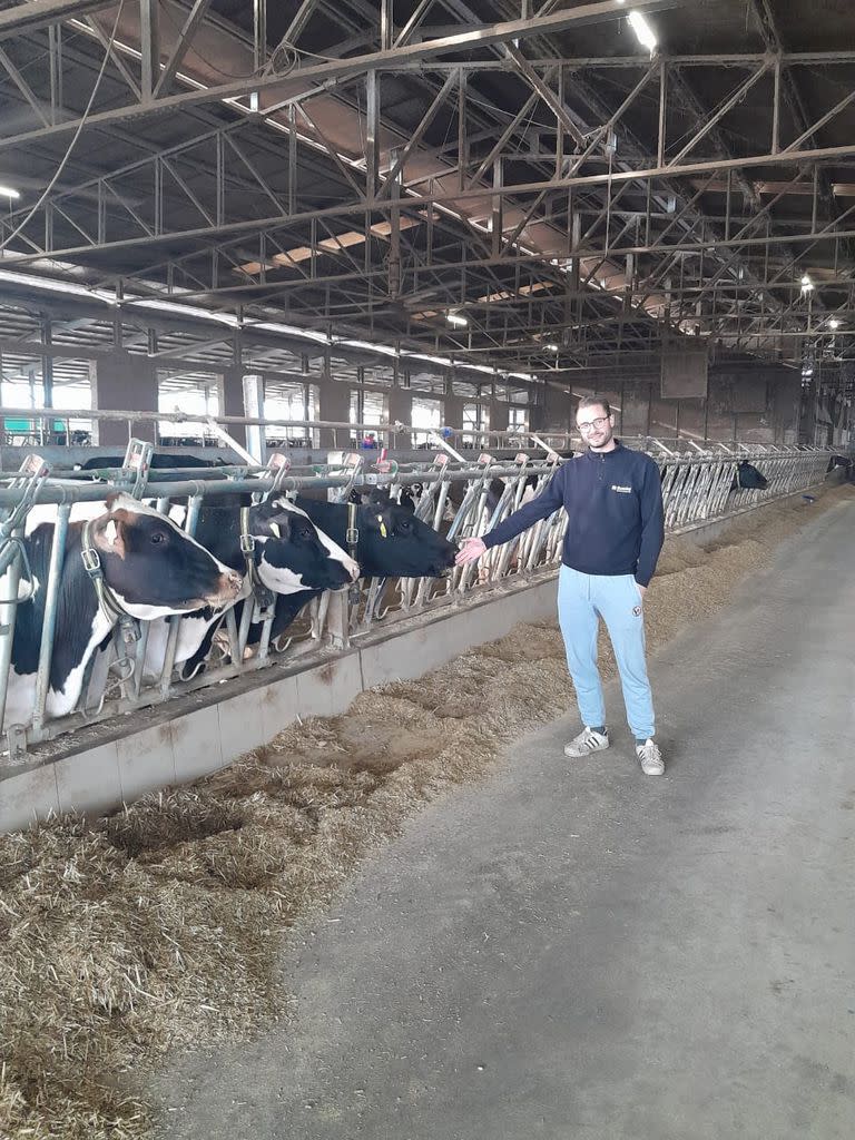 Julio Borga en el establecimiento lechero con las vacas confinadas que producen de 32 a 35 litros