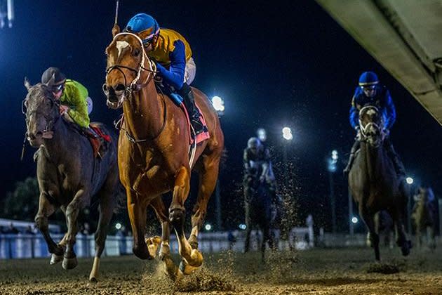 Track Phantom, shown winning the Gun Runner Stakes in December, is among the favorites for Saturday's $1 million Louisiana Derby. Photo courtesy of Fair Grounds