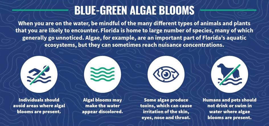 Informational sign about blue-green algae blooms developed by the Florida Department of Environmental Protection