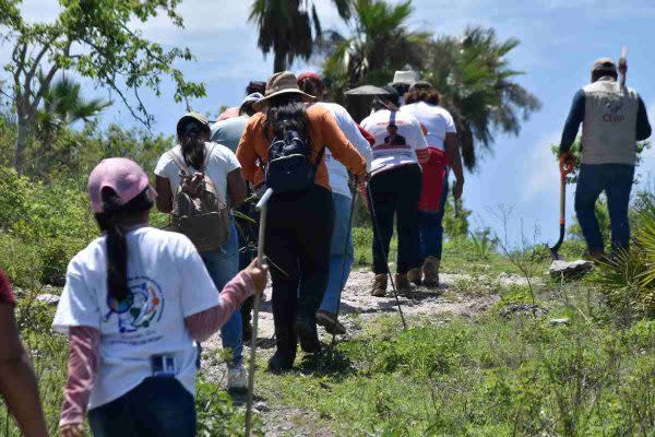 Familias de desaparecidos realizan una jornada de búsqueda en México.