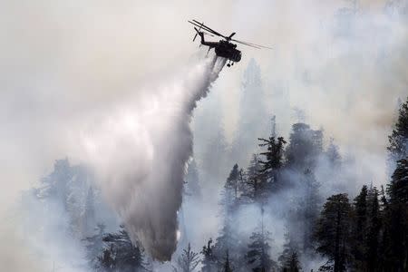 A firefighting helicopter drops water near Camp Bravo summer camp as firefighters battle the Lake Fire in the San Bernardino National Forest, California June 19, 2015. REUTERS/David McNew