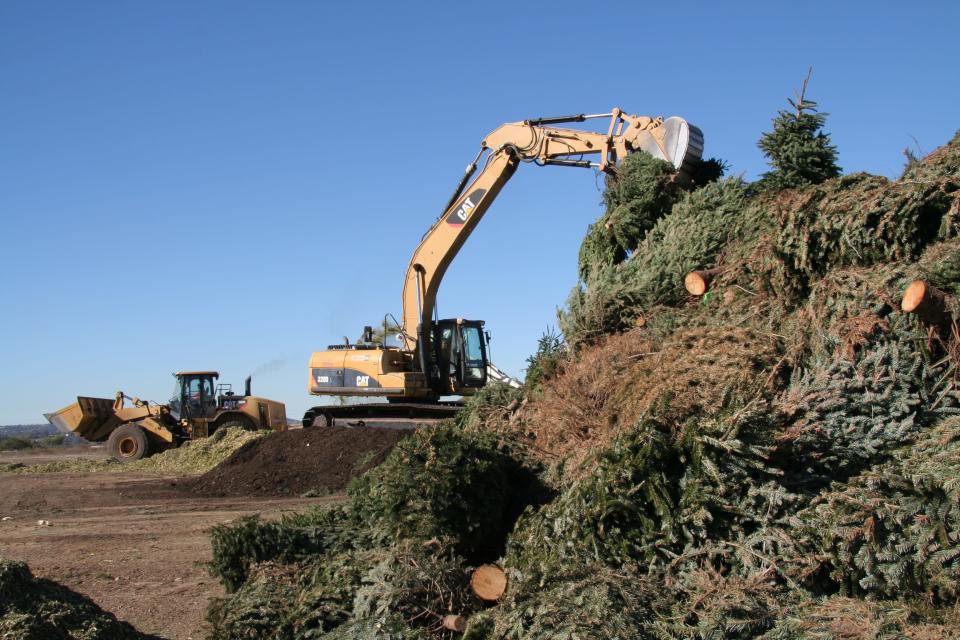 The City of San Diego recycles more than 70,000 Christmas tree each year, according to recycling official Ed Baskin.