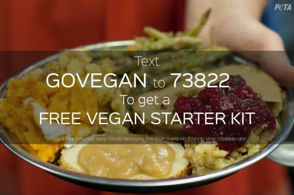 vegan-starter-kit-text-in