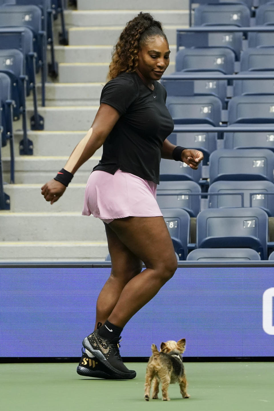 Serena Williams looks at a small dog while warming-up before practicing at Arthur Ashe Stadium before the start of the U.S. Open tennis tournament in New York, Thursday, Aug. 25, 2022. (AP Photo/Seth Wenig)