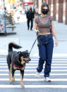 <p>Emily Ratajkowski takes her dog out for a walk through N.Y.C. on Tuesday.</p>