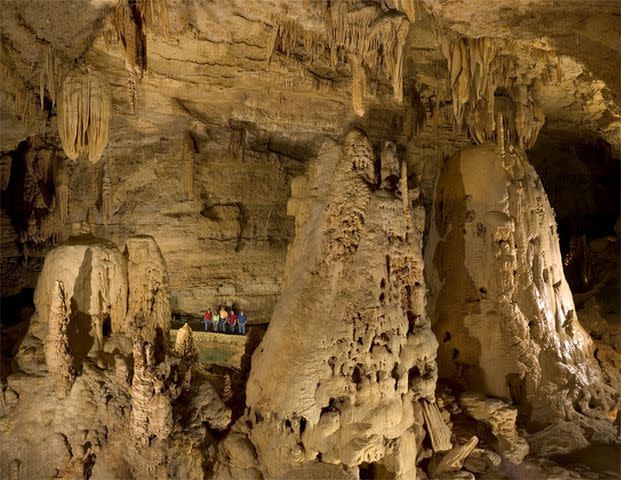 <p>Courtesy of Natural Bridge Caverns</p>