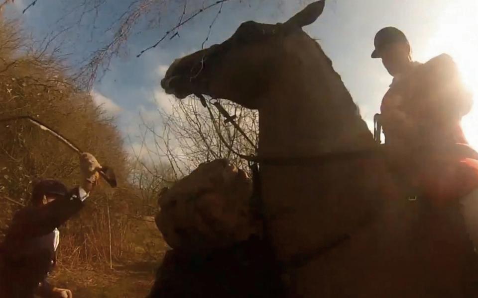 Hunt master investigated by police after allegedly whipping saboteur with riding crop 