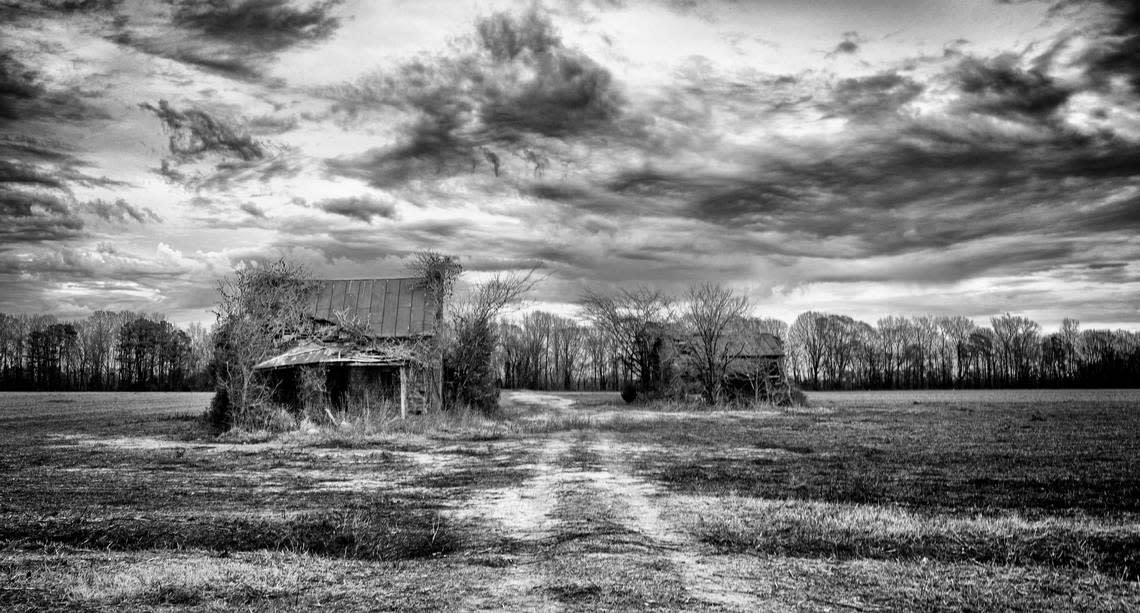 An abandoned tenant house and barn in a peanut field in Pitt County.
