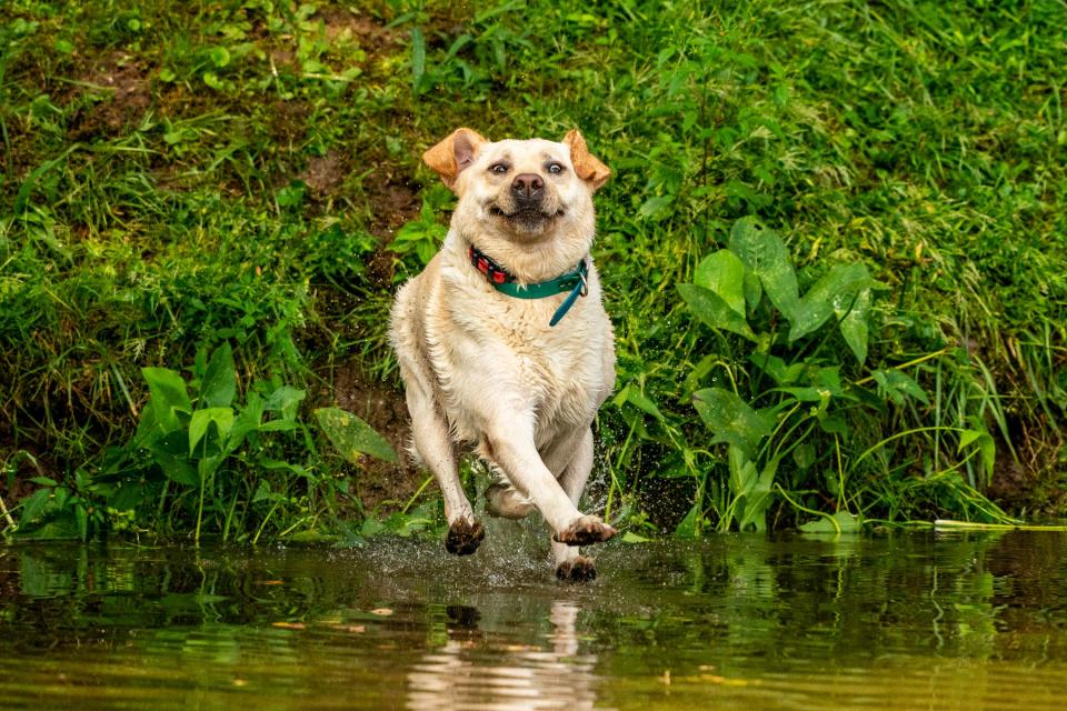 John Carelli_Look Mom I Can Walk on Water_00001044