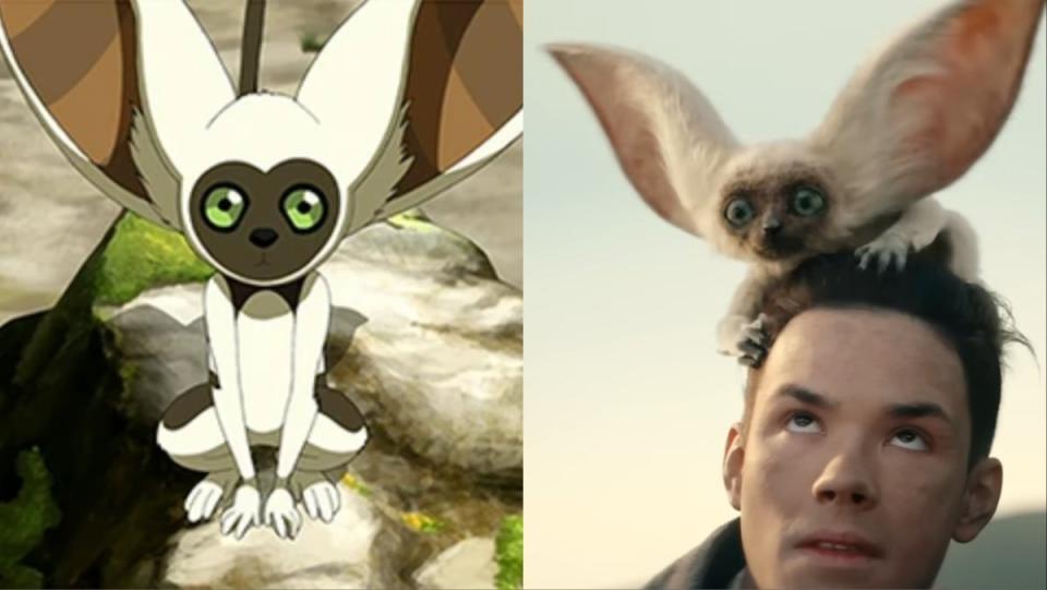 Avatar The Last Airbender main character in cartoon and live action Netflix Momo